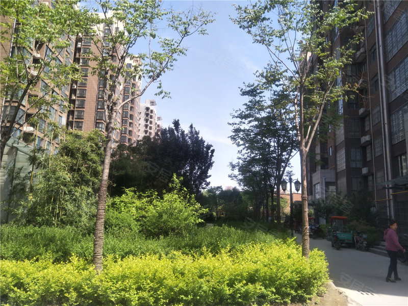 渭南通达臻品-实景图(16) - 渭南安居客