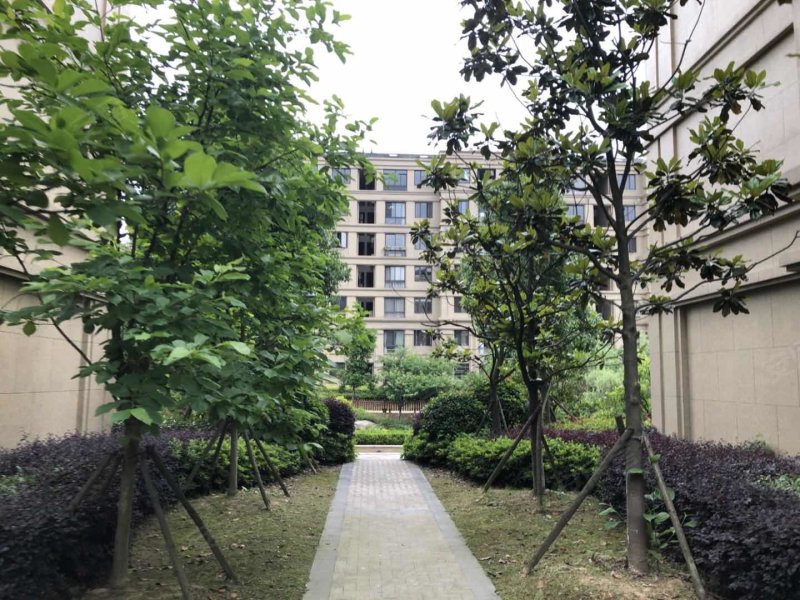 宁波楼盘 余姚楼盘 舜大涌金湾