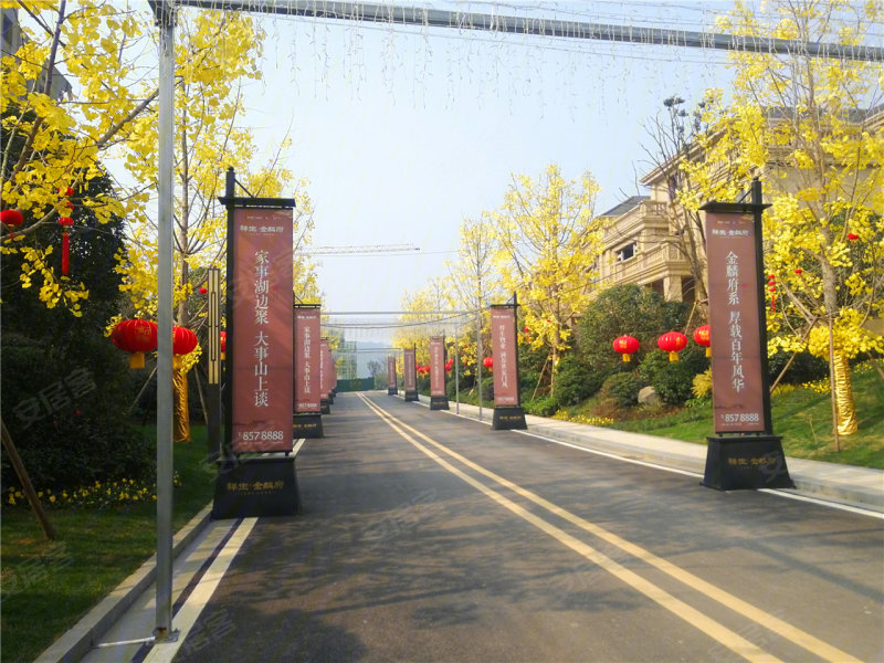 岳阳祥生61金麟府-实景图(28) - 岳阳安居客