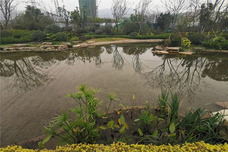 重庆保亿湖山鹿鸣-实景图(1) - 重庆安居客