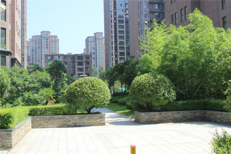 济源东方国际公馆-实景图(39) - 济源安居客