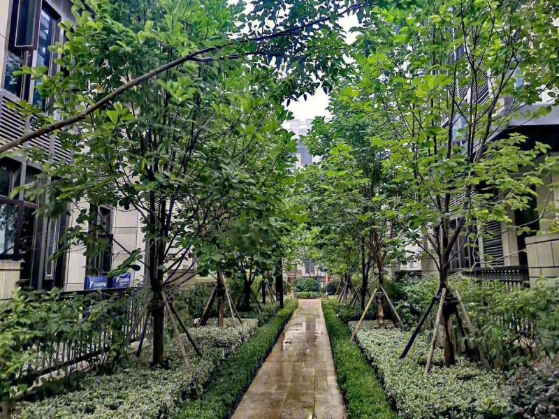 名门俏江南