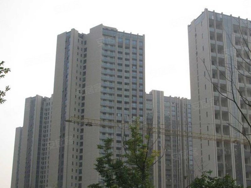 合肥印象西湖-实景图(3) - 合肥安居客