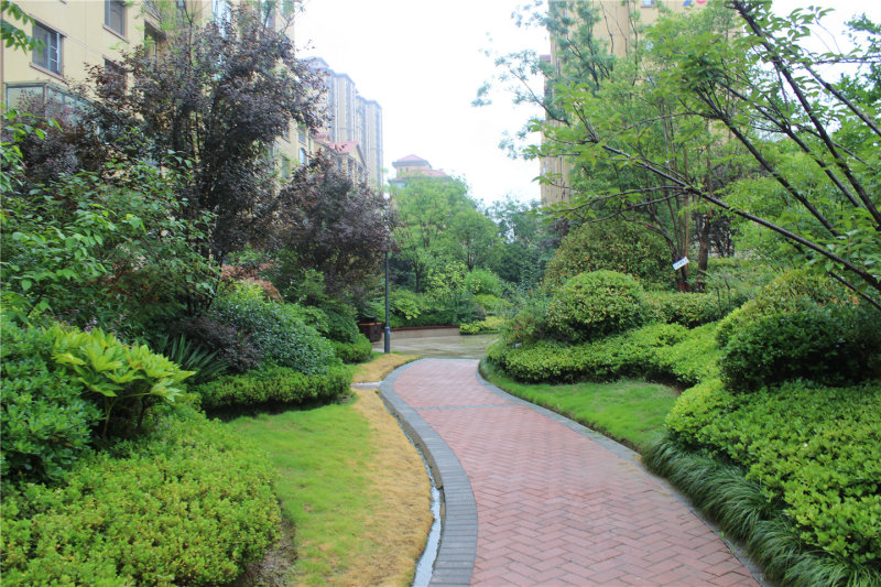 驻马店西平建业森林半岛-实景图(8) - 驻马店安居客