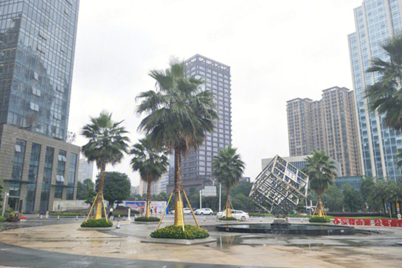 泸州佳乐金街时光里-实景图(14) - 泸州安居客