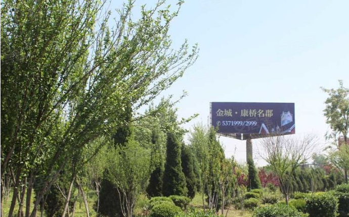 淄博金城康桥名郡-实景图(55 淄博安居客