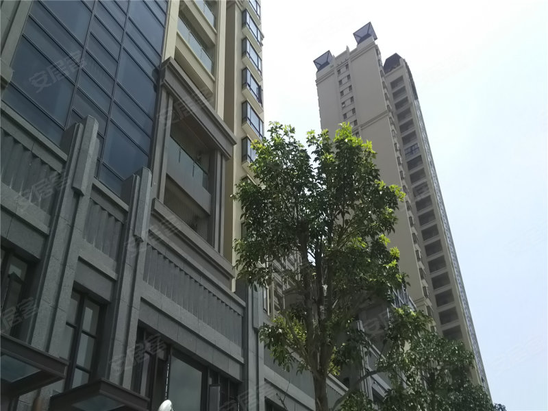 陆丰市荣大滨河湾-实景图() - 陆丰市安居客