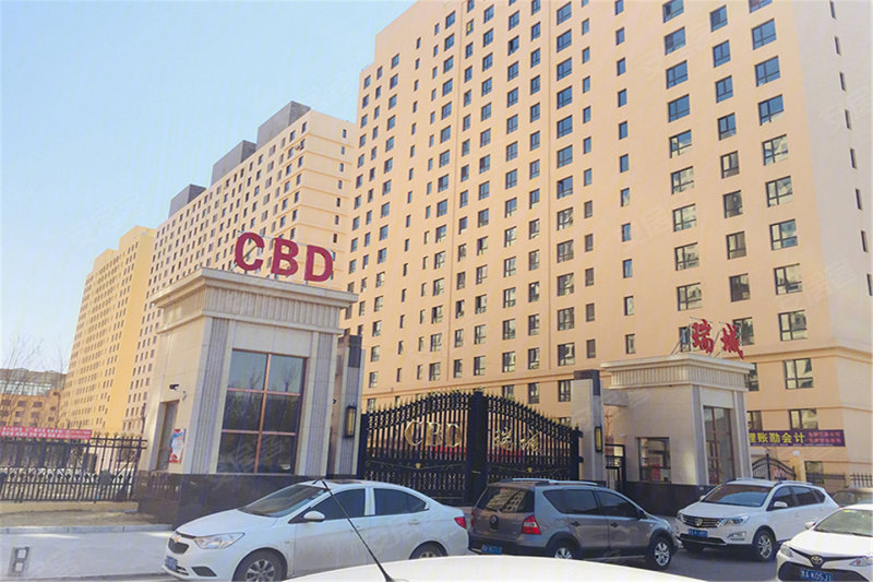 哈尔滨cbd瑞城-实景图(7) - 哈尔滨安居客