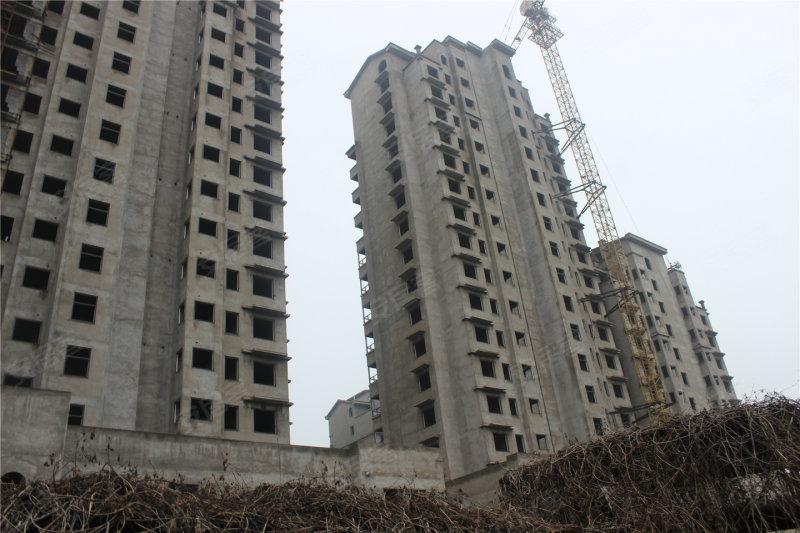 鹤壁建设御景城邦-实景图(18 鹤壁安居客