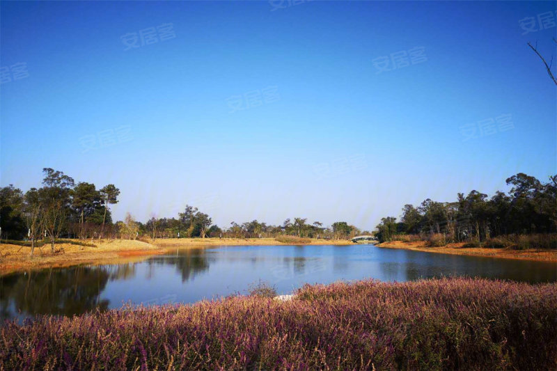 眉山黑龙滩长岛国际旅游度假区-实景图(2) - 眉山安居