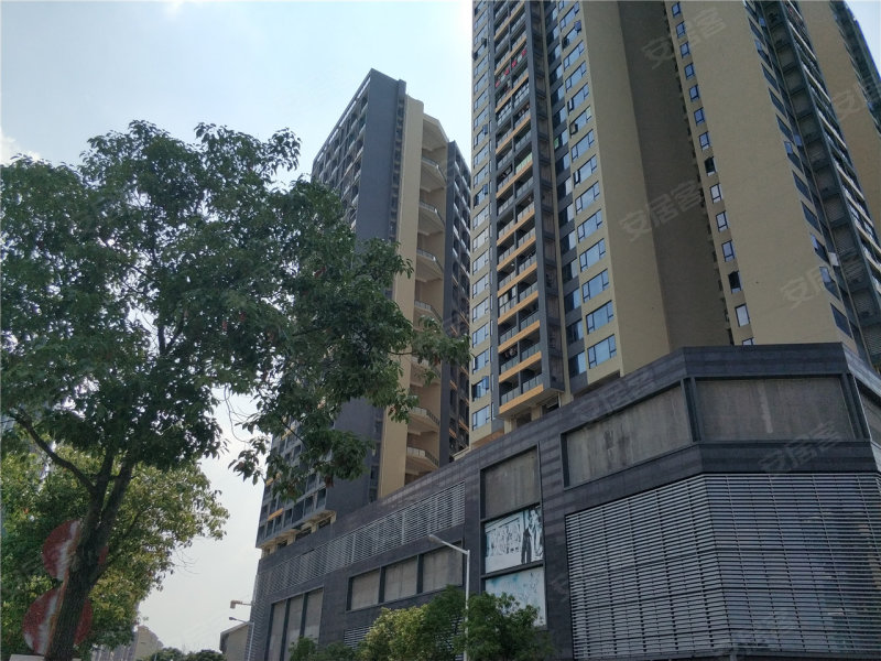 中山城市空间-实景图(1) - 中山安居客