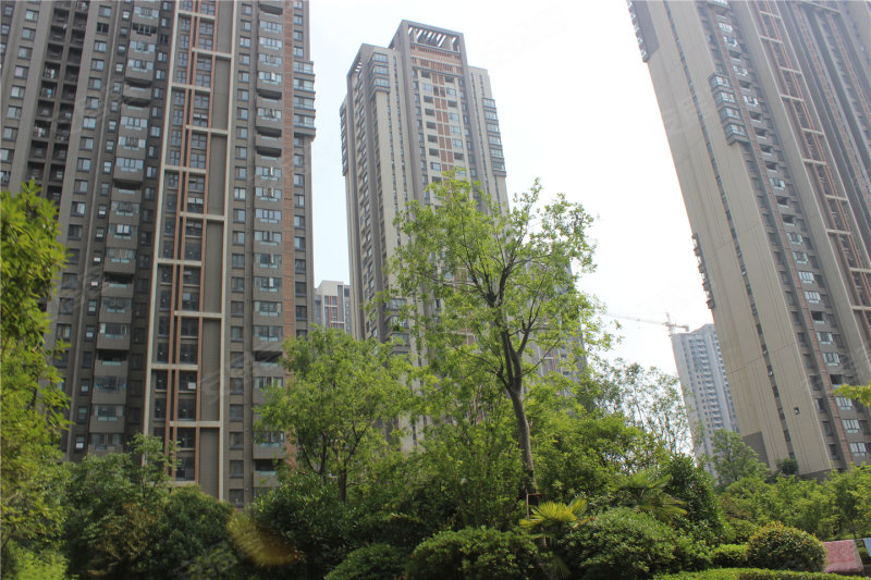 驻马店建业十八城五期-实景图(34) - 驻马店安居客