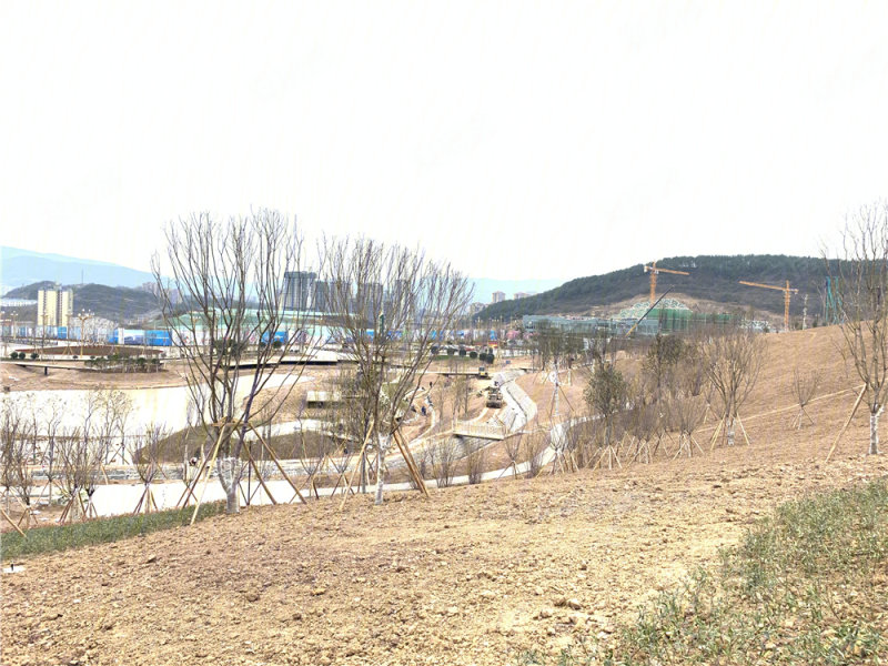 广元金杯半山生命小镇-实景图(31) - 广元安居客