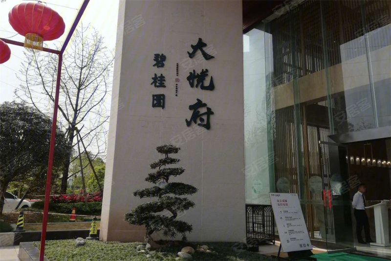 碧桂园大悦府