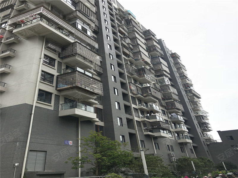 金鼎观湖