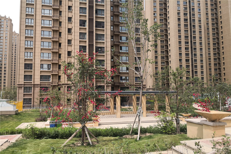 乌鲁木齐伊水湾-实景图(25) - 乌鲁木齐安居客