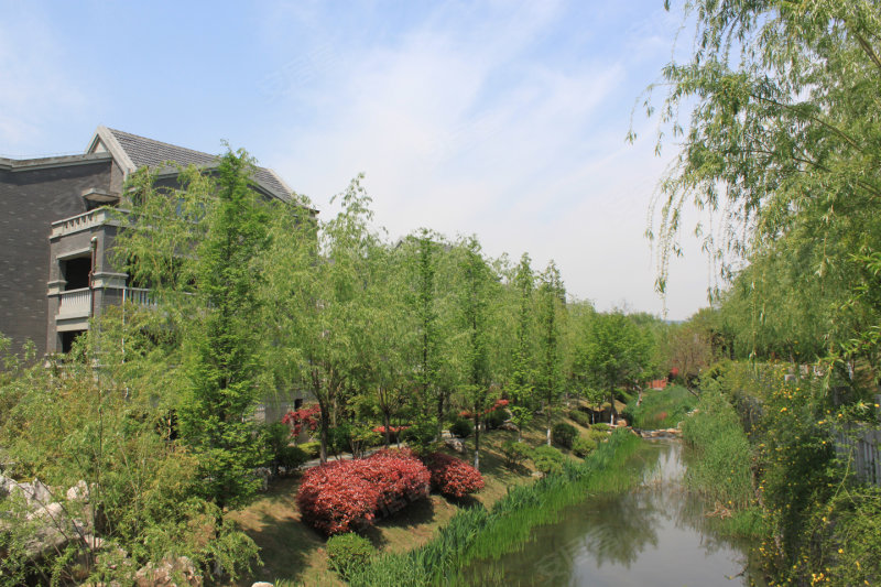 南京中冶钟鼎山庄-实景图(2) - 南京安居客