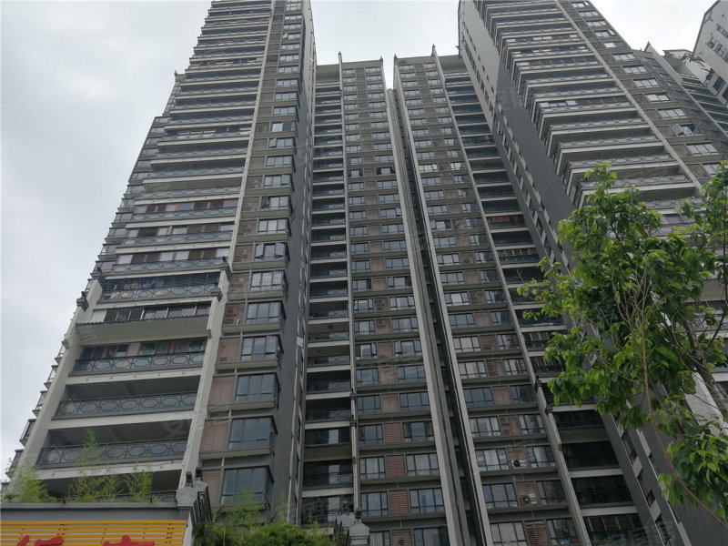 揭阳榕江明珠-实景图(10) - 揭阳安居客