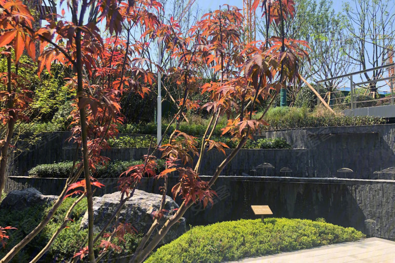 重庆合谊花溪湾-实景图(12 重庆安居客