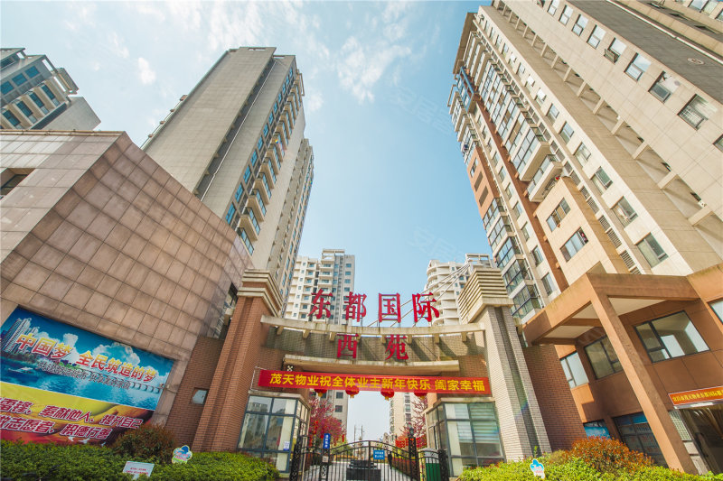 东都国际