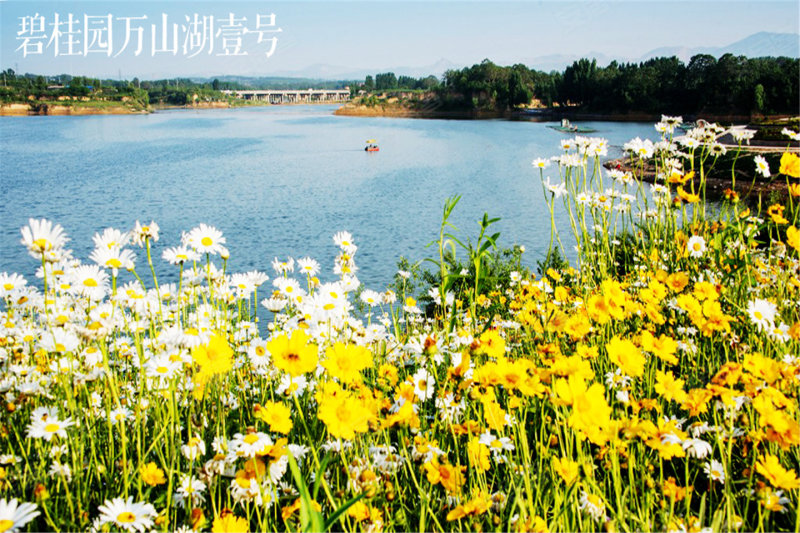 碧桂园万山湖壹号