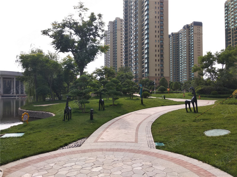 恒大绿洲实景图
