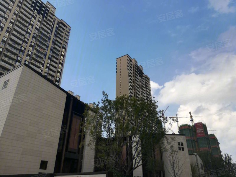 南京金地中心菁华-实景图(6) - 南京安居客