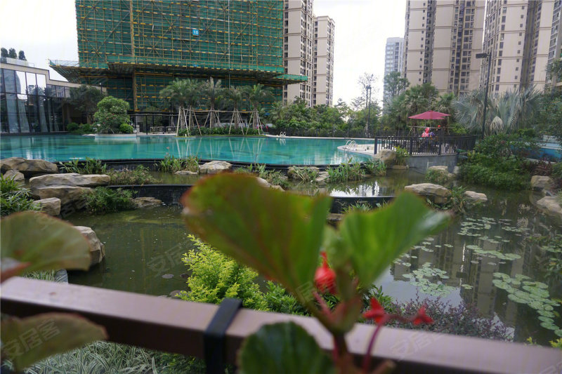 新福港鼎峰
