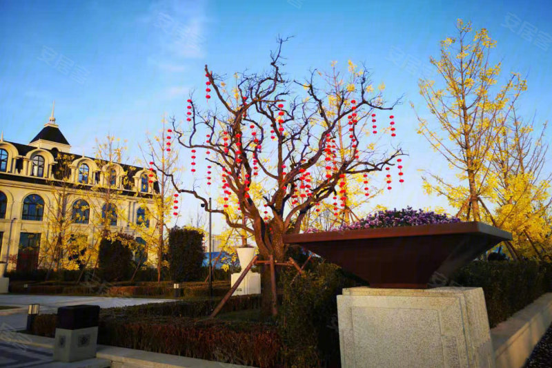 宝鸡蓝光长岛城-实景图(5) - 宝鸡安居客