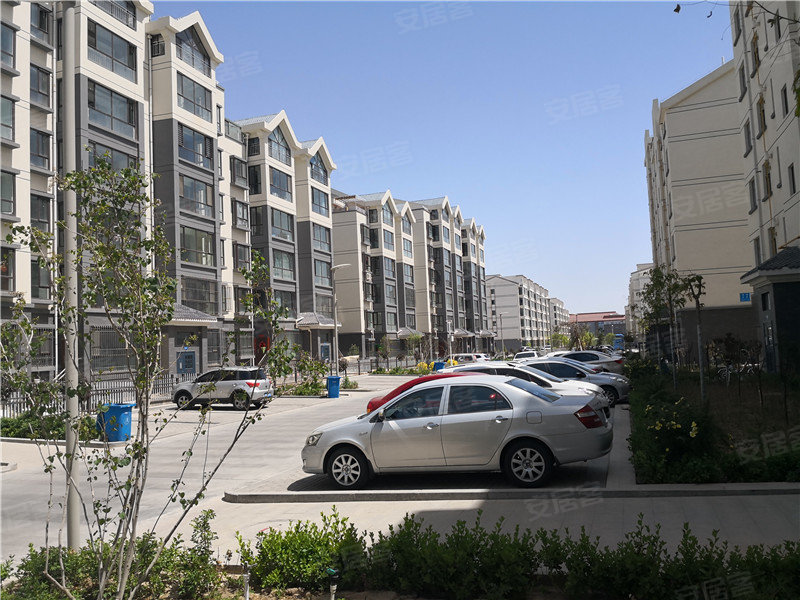 嘉峪关南湖学府-实景图(39) - 嘉峪关安居客