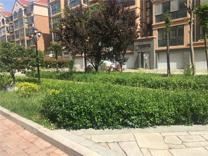 海阳日升山水苑-实景图(8) - 海阳安居客