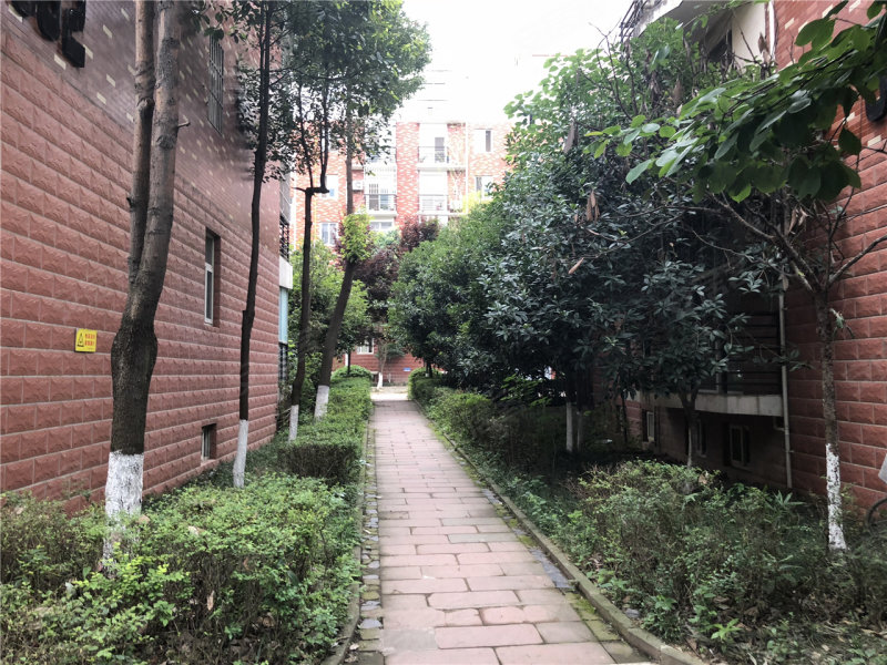 艺苑小区四期