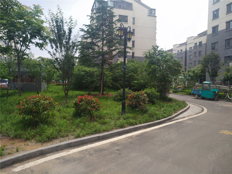 肥城紫荆城-实景图(8) - 肥城安居客