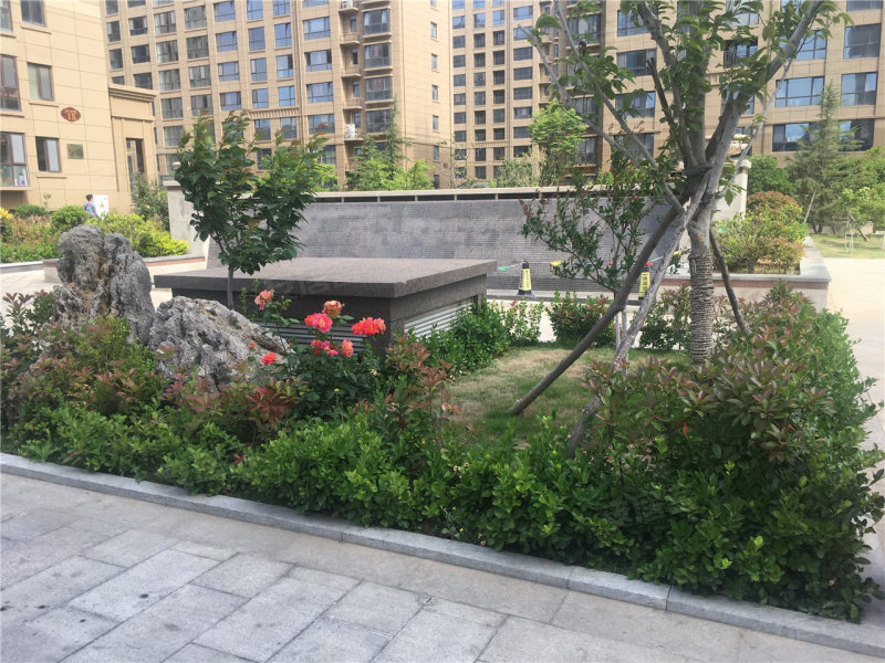 威海山花泰和府-实景图(6 威海安居客