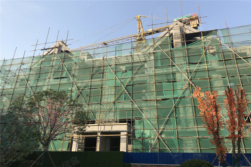 许昌锦艺伊顿小镇-实景图(48) - 许昌安居客