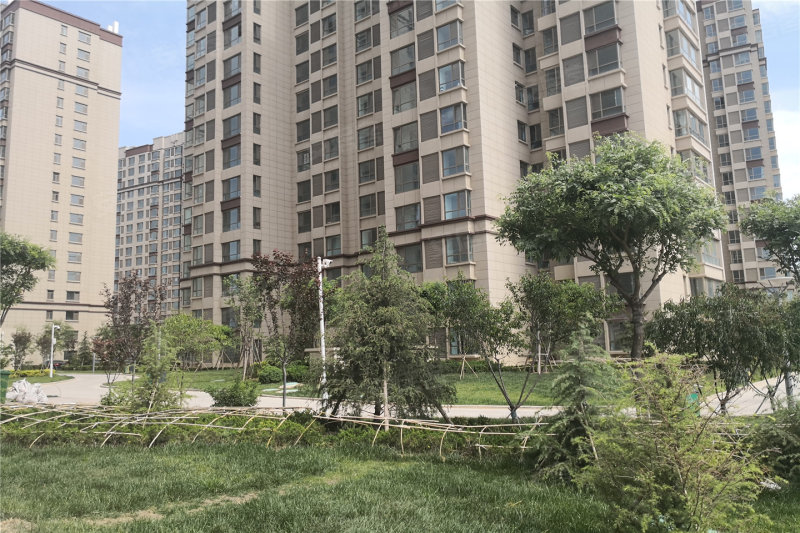金景富苑实景图