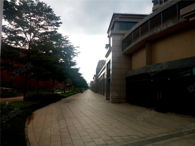 高州碧桂园·凤凰城-实景图(5 高州安居客