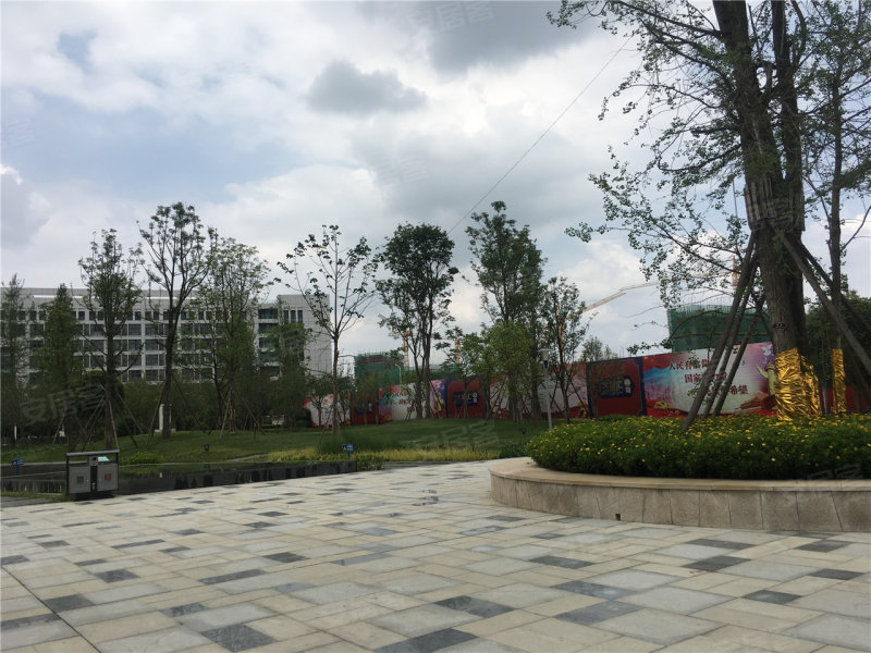 江油市明月大唐汇-实景图(16) - 江油市安居客