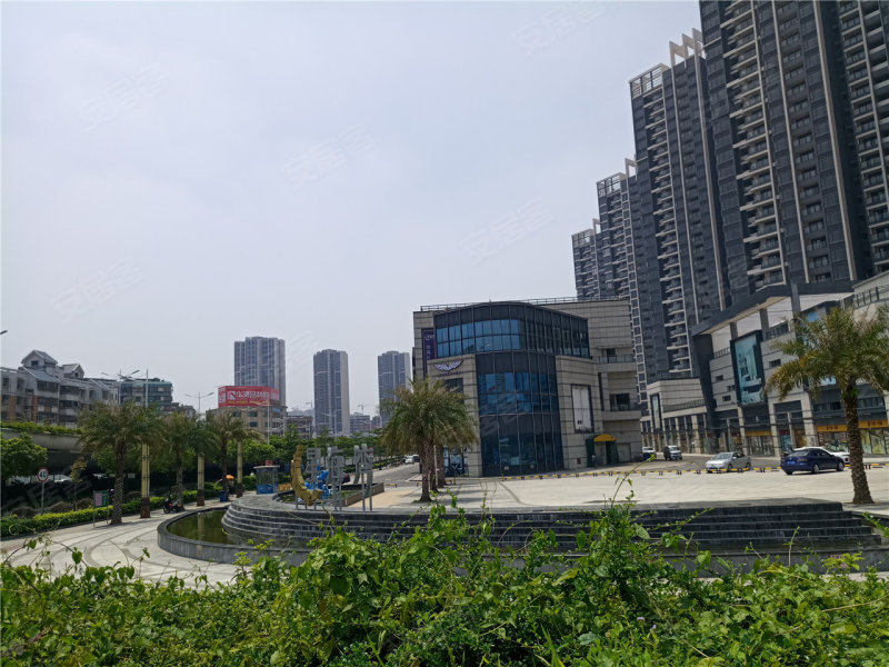 江门星海湾华庭-实景图(36) - 江门安居客