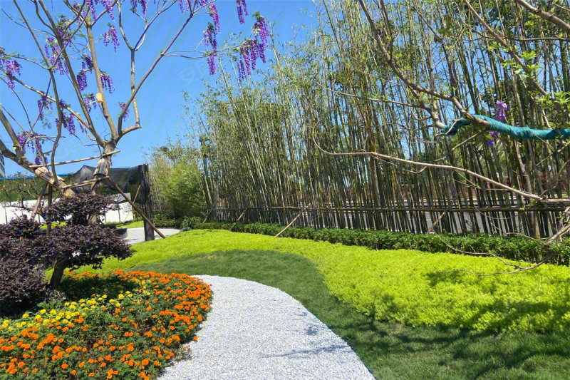 宜宾江山·领誉-实景图(2) - 宜宾安居客