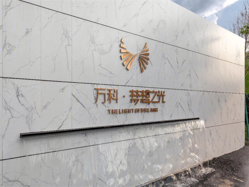 万科梦想之光