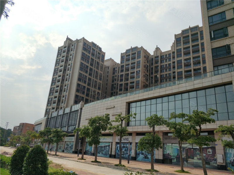 盈天可乐国际