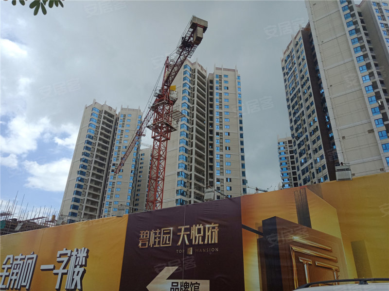 阳江碧桂园天誉-实景图(7) - 阳江安居客