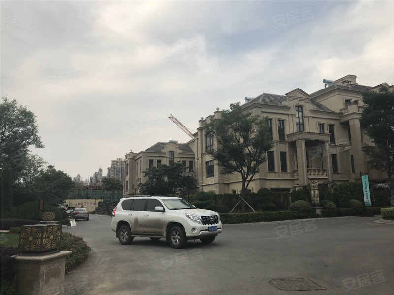 白鹭金岸