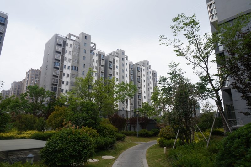 新沂钟吾壹号-实景图(37) - 新沂安居客