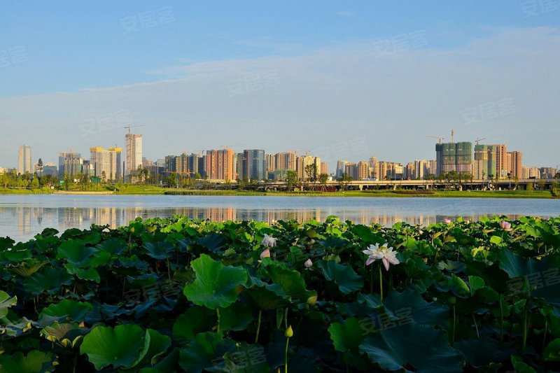 居住人口 概念_流动人口居住证明图片(3)