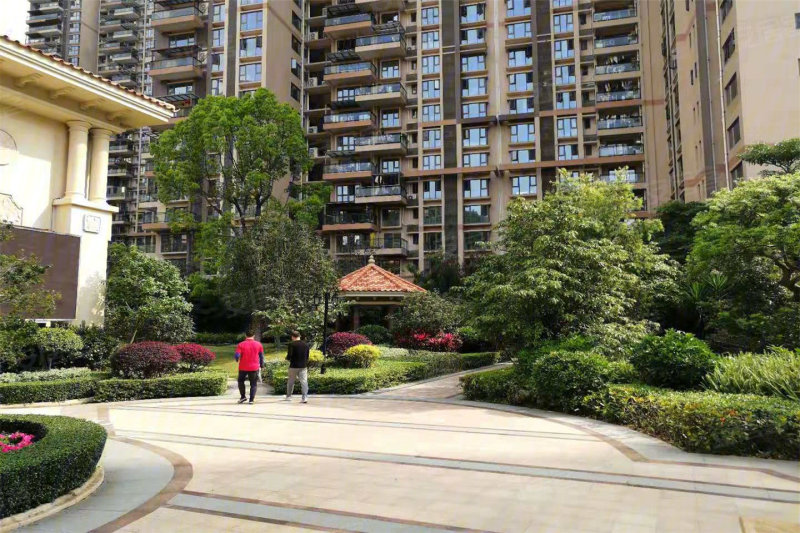 深圳淘金山湖景花园-实景图(5) - 深圳安居客