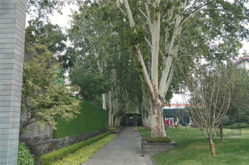 郑州万科美景世玠-实景图(14) - 郑州安居客