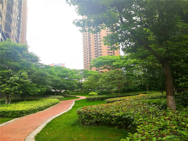 岳阳天伦国际-实景图(1) - 岳阳安居客