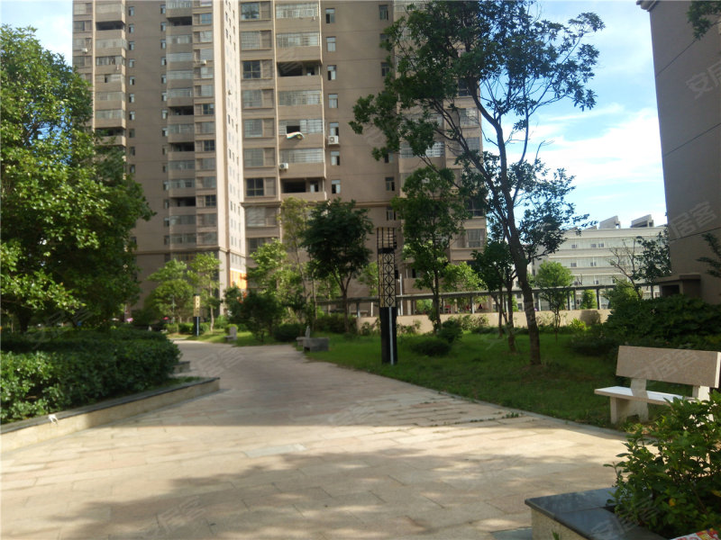 高安市中央城金街-实景图(41) - 高安市安居客